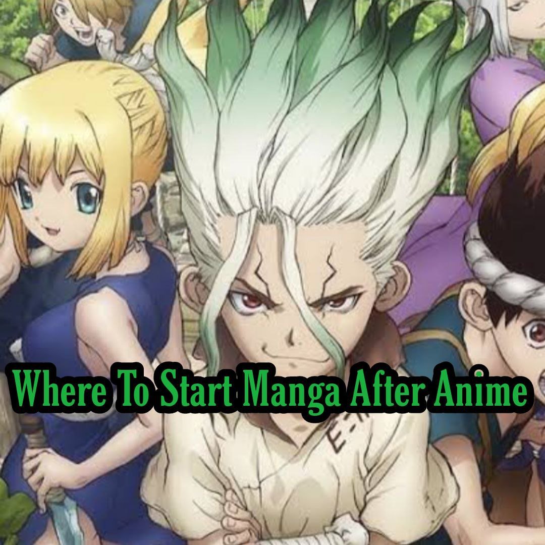Dr Stone Where To Start Manga After Anime