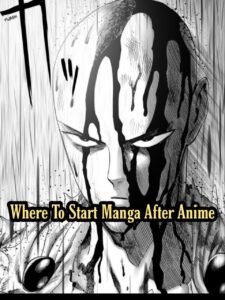 One Punch Man Where To Start Manga After Anime AnimeInTime