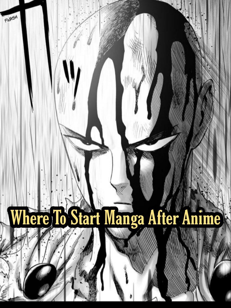 One Punch Man Where To Start Manga After Anime
